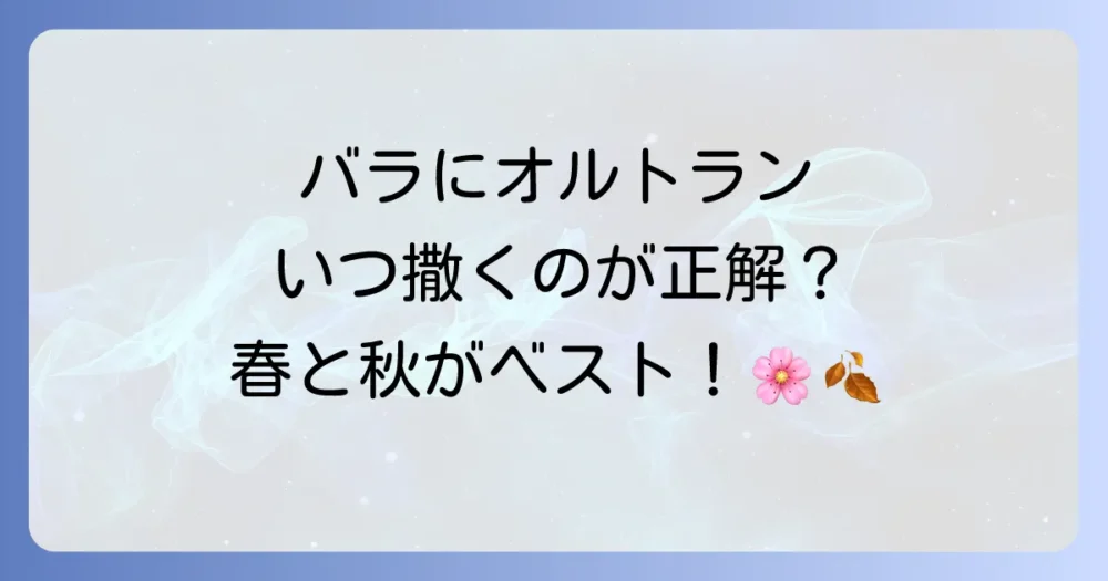 バラにオルトランを撒く最適な時期は春と秋