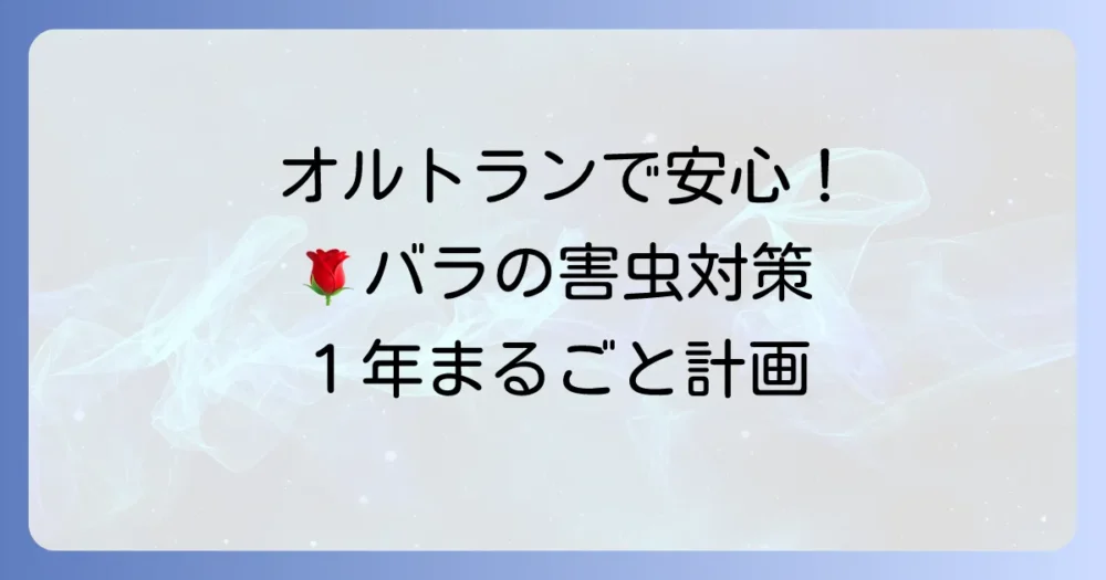【年間スケジュール】オルトランを活用したバラの害虫管理