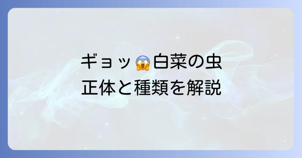 白菜に虫が！その正体と種類一覧【写真付き】