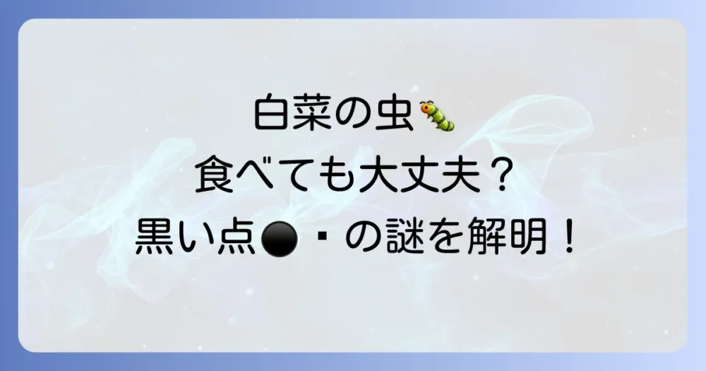 気になる白菜の虫、食べても大丈夫？黒い点の正体も解説
