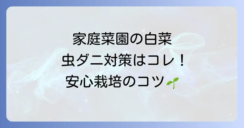 家庭菜園でも安心！白菜の虫とダニを防ぐ予防策