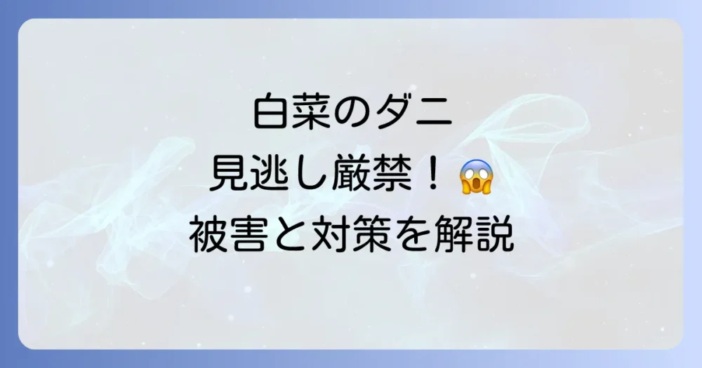 【要注意】白菜に付く「ダニ」の種類と被害