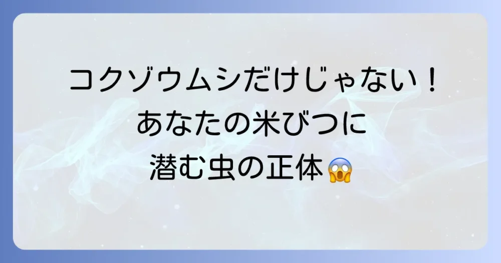 コクゾウムシだけじゃない!お米に湧く他の害虫