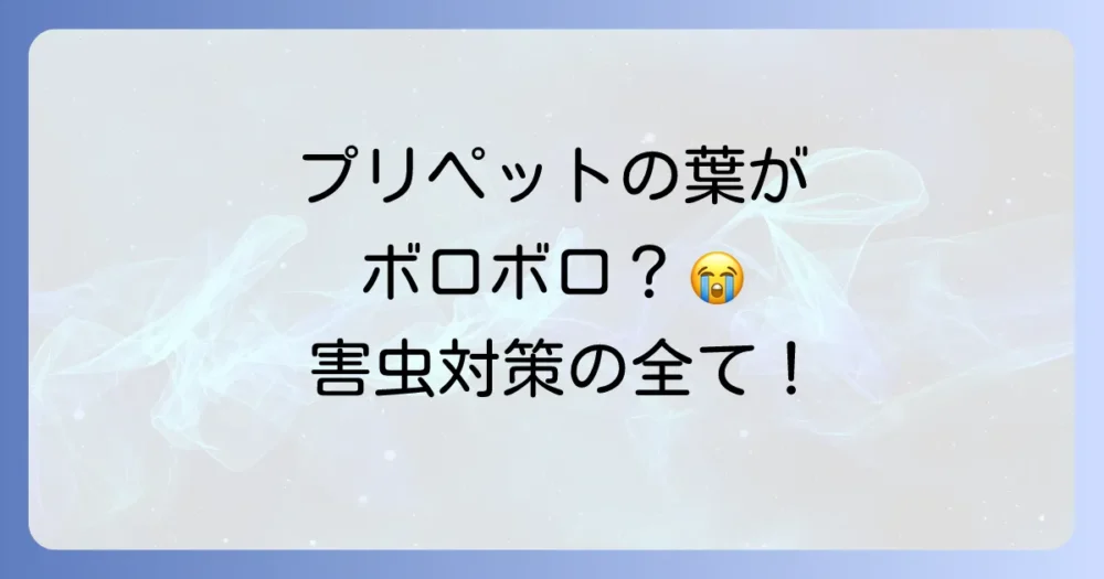 【園芸家の悩み解決】プリペット レモンライムの害虫対策｜主な種類、駆除、予防法を徹底解説！