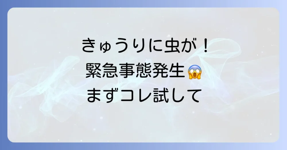 【緊急】きゅうりに虫を発見!まずやるべきこと