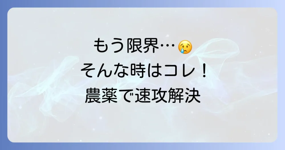 【効果てきめん】農薬(殺虫剤)を使った駆除方法