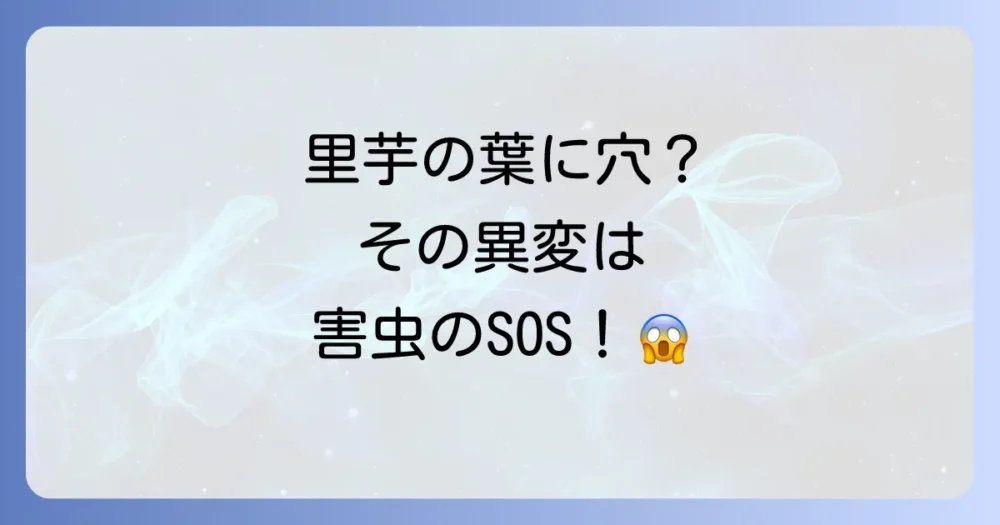 【要注意】里芋に発生しやすい代表的な害虫と被害のサイン