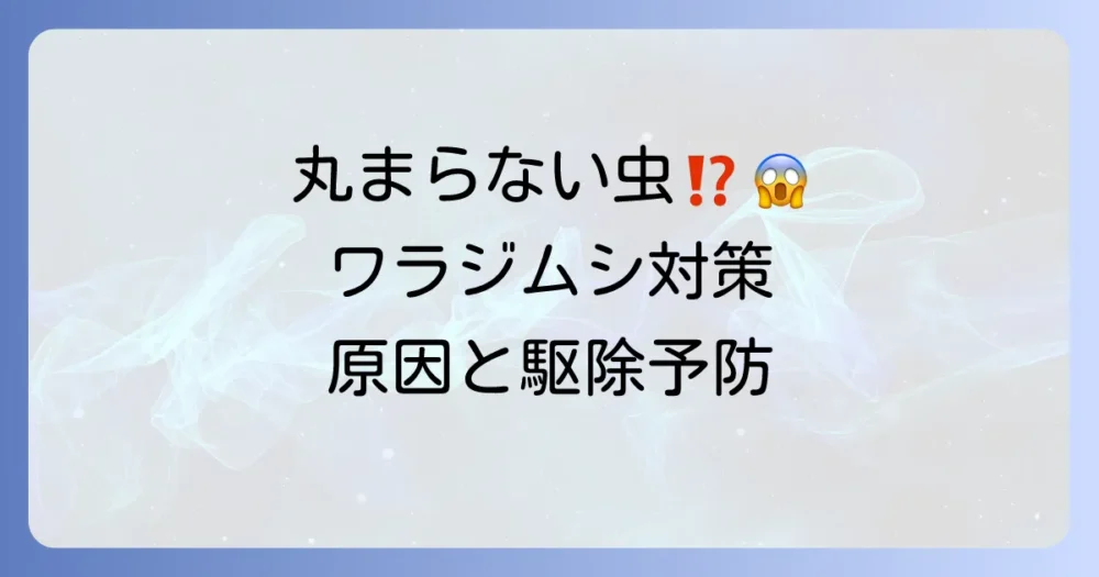 ワラジムシが家の中に！その原因は湿気？侵入経路と駆除・予防策を徹底解説