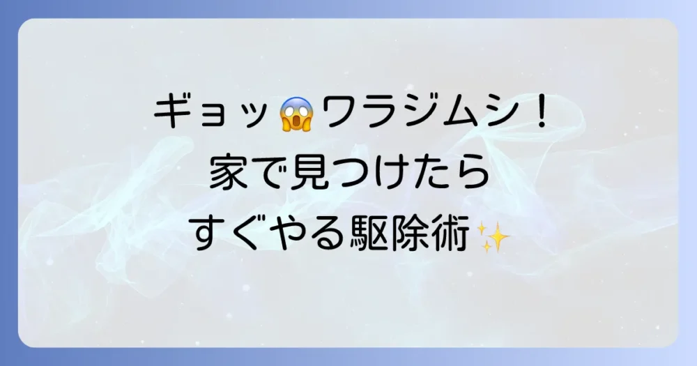 家の中で見つけた！今すぐできるワラジムシの駆除方法