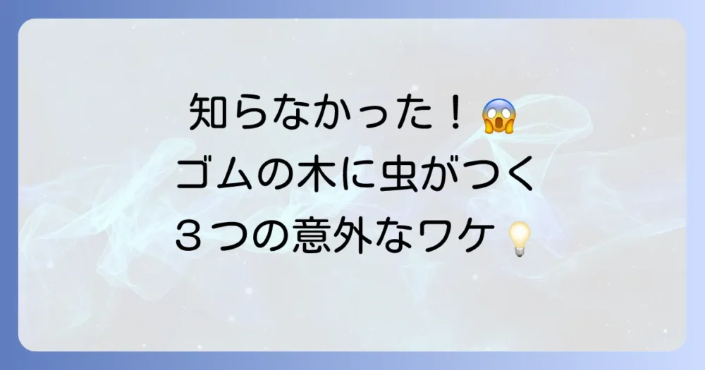 なぜ?ゴムの木にカイガラムシが発生する3つの原因