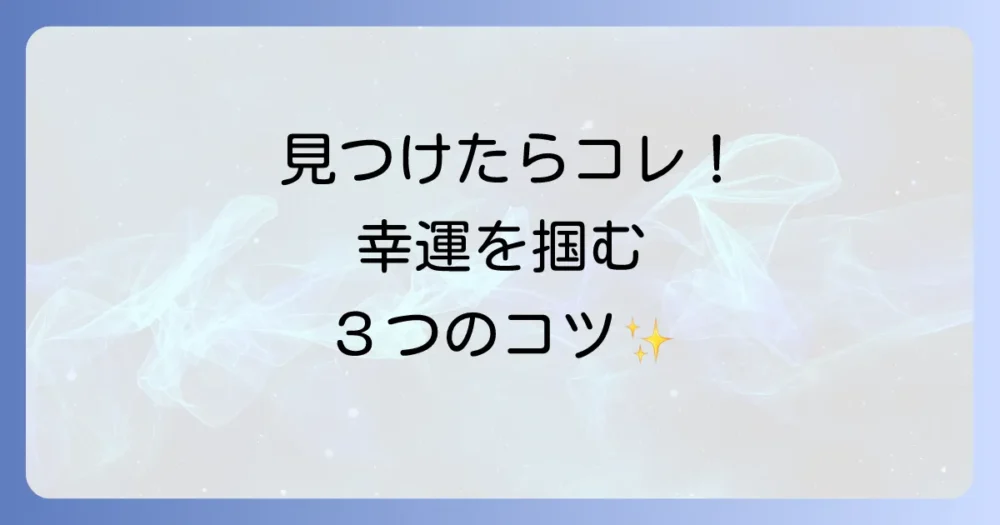 ナミテントウを見つけたらどうする？幸運を逃さないための注意点
