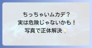 【写真で解決】ちっちゃいムカデみたいな虫の正体は?ヤスデ?ゲジゲジ?危険性・見分け方から駆除・予防策まで徹底解説!