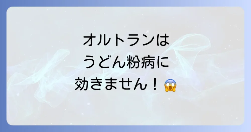 うどん粉病にオルトランは効かない？【結論】殺虫剤と殺菌剤の違いと正しい対策
