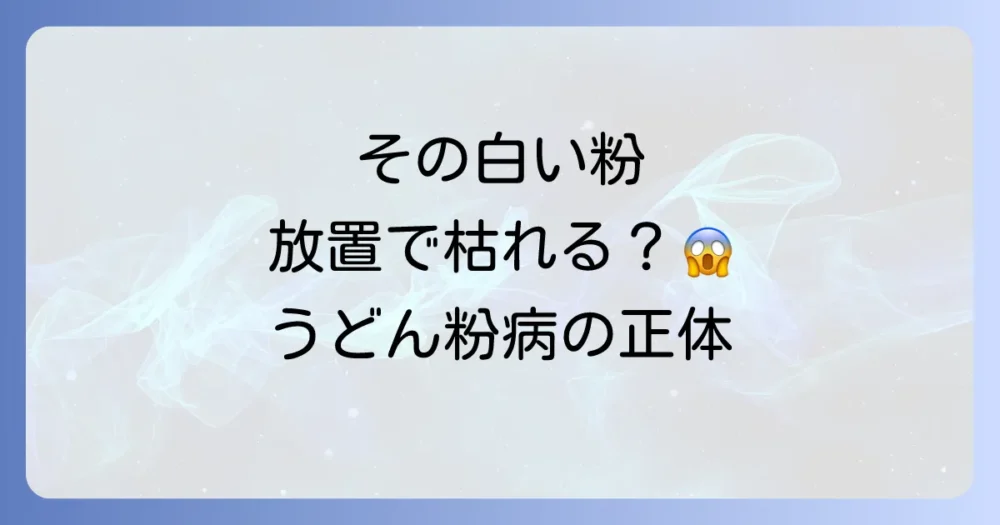 そもそも「うどん粉病」とは?原因と症状を知ろう