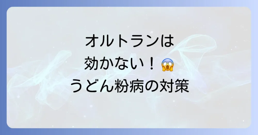 【決定版】うどん粉病に本当に効く!おすすめの対策方法