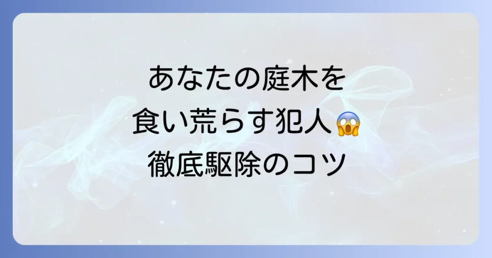ヘリグロテントウノミハムシの駆除方法｜大切なヒイラギやキンモクセイを守るための完全対策