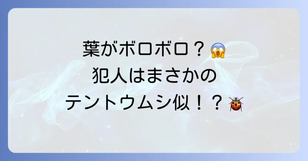 その葉の被害、ヘリグロテントウノミハムシの仕業かも?