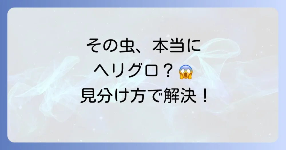 【要注意】ヘリグロテントウノミハムシと間違えやすい害虫