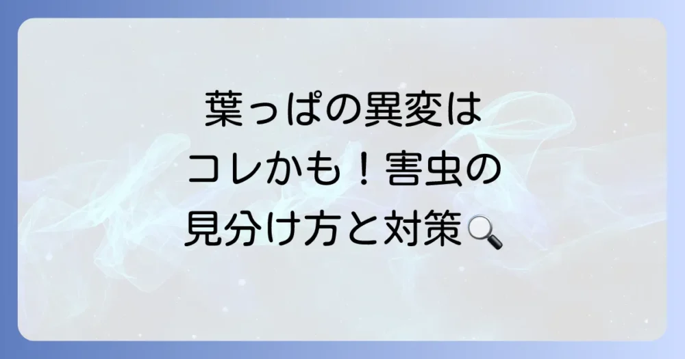 まとめ
