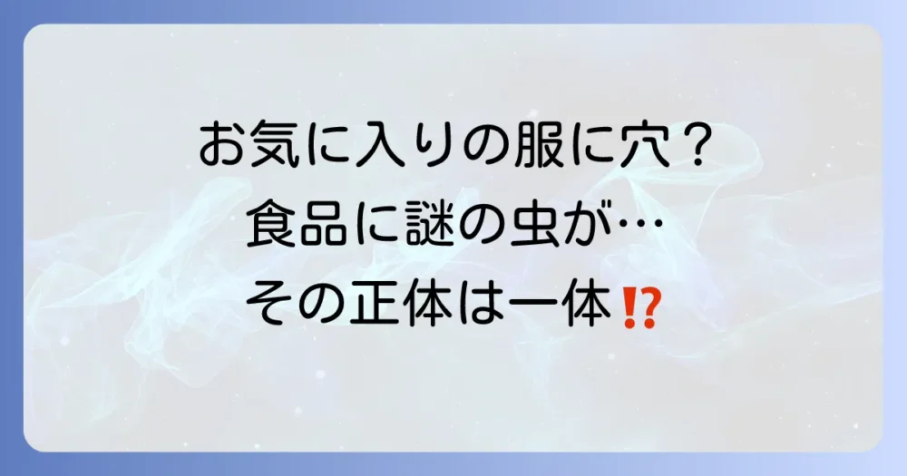 その被害、ヒメカツオブシムシの仕業かも?恐ろしい害の正体