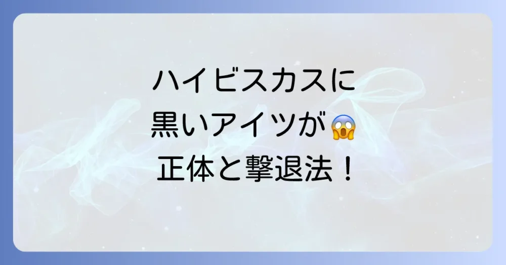 ハイビスカスに黒い虫がびっしり！正体と駆除・予防法を徹底解説