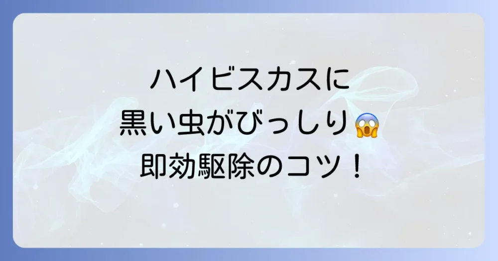 【見つけたら即対処!】ハイビスカスの黒い虫(アブラムシ)駆除マニュアル