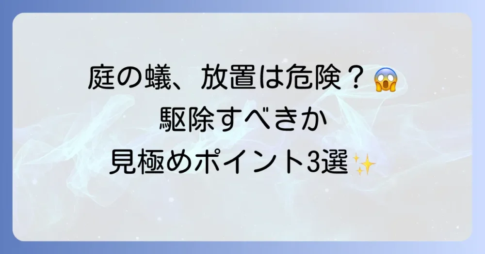 庭の蟻、放置しても大丈夫？駆除を判断する3つのポイント