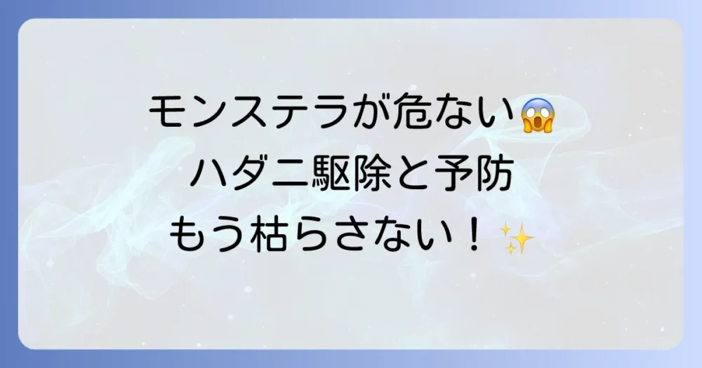 大切なモンステラが危ない！ハダニの駆除と予防法を徹底解説