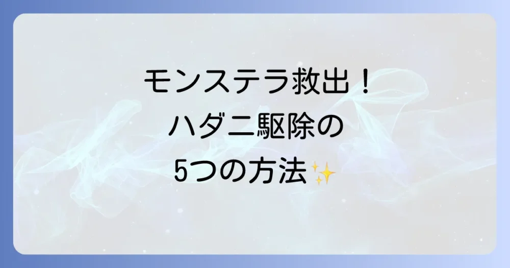 【即実践】モンステラのハダニ駆除方法5選