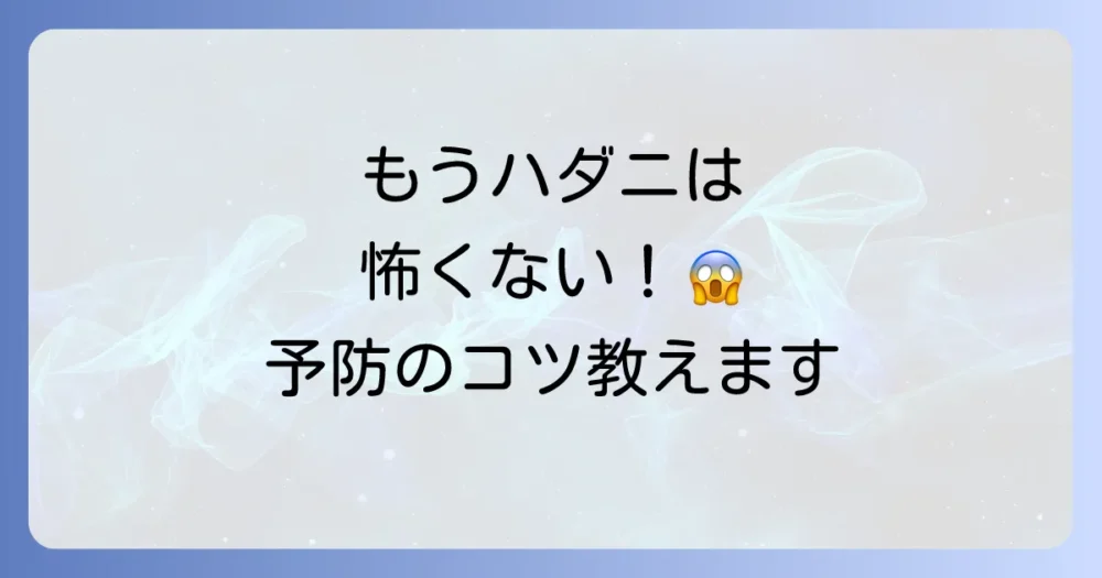 もう発生させない!モンステラのハダニ予防策
