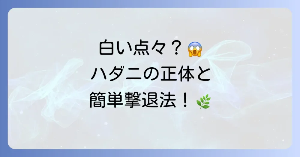 【観葉植物のハダニ対策】室内の白い点々はハダニかも？原因と簡単な駆除・予防法を徹底解説