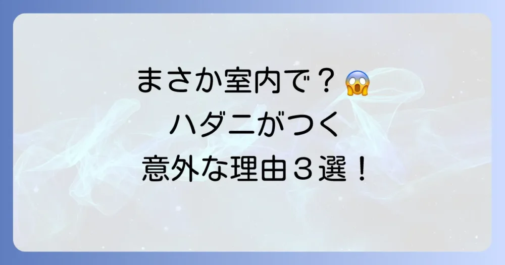 なぜ?室内の観葉植物にハダニが発生する3つの原因