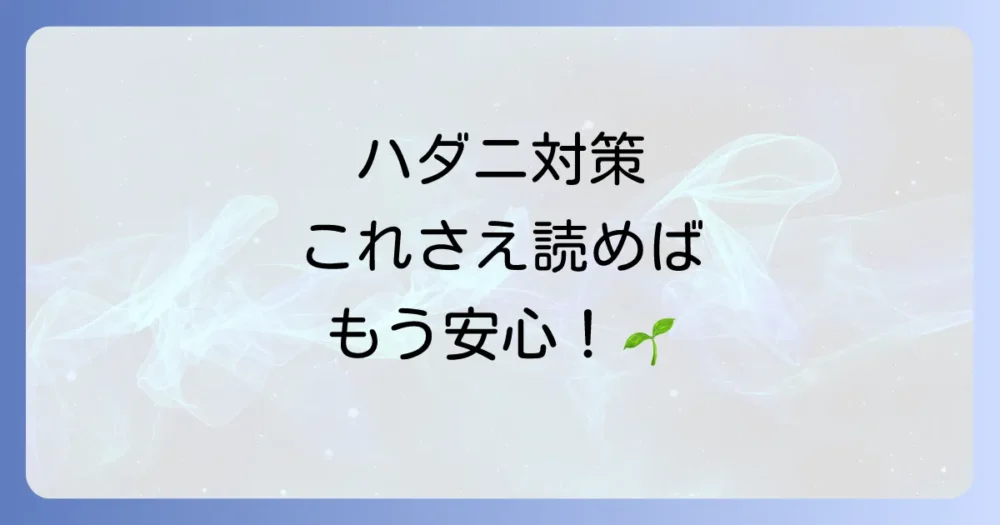 まとめ