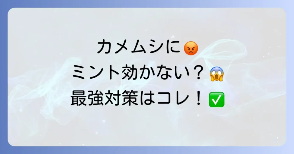 カメムシにミントが効かない？【専門家が解説】5つの原因と本当に効く最強対策