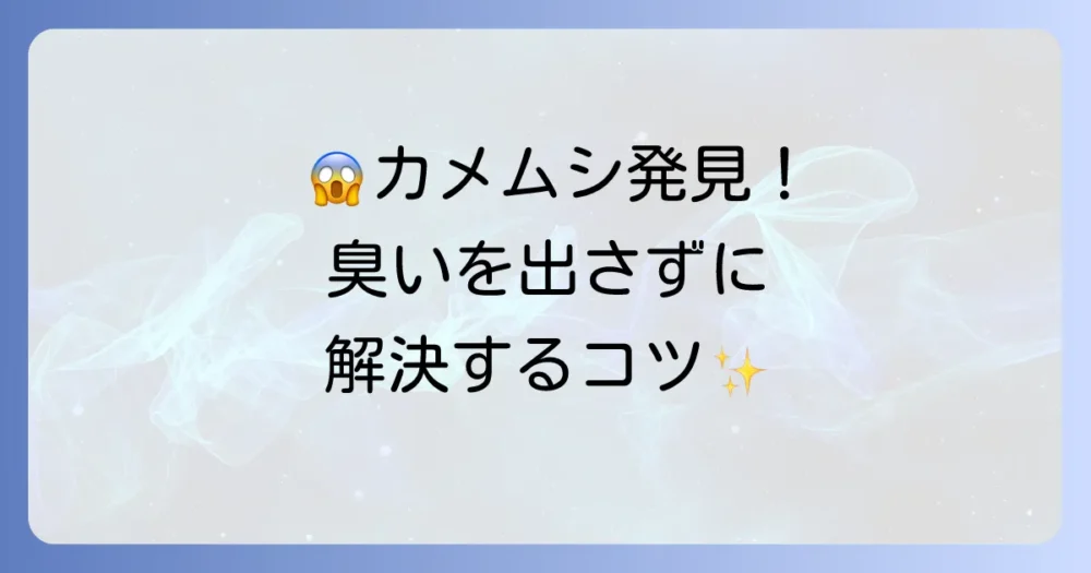 もしカメムシに遭遇したら?臭いを放たせないスマートな駆除方法