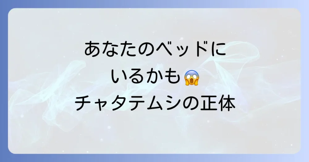 ベッドにいるその小さい虫、正体はチャタテムシかも?