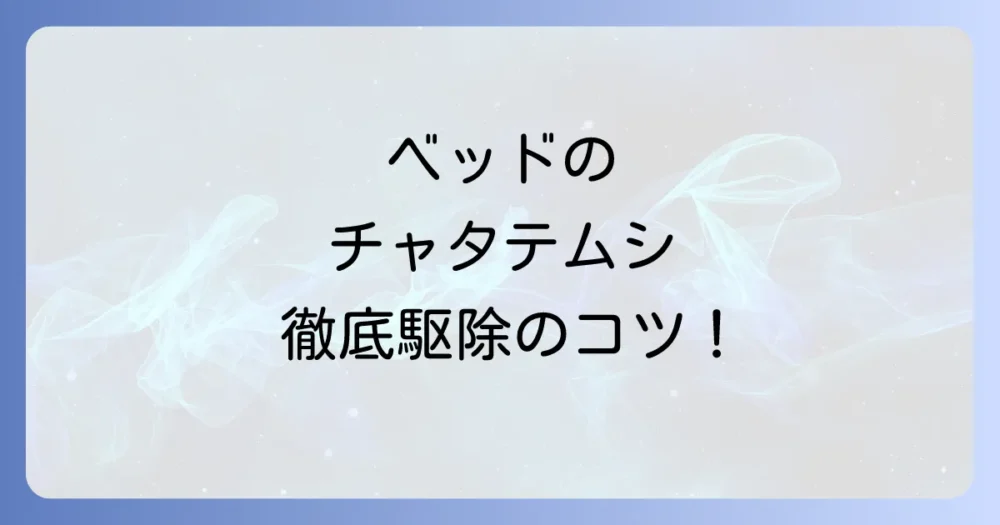 【今すぐできる】ベッドのチャタテムシ徹底駆除マニュアル
