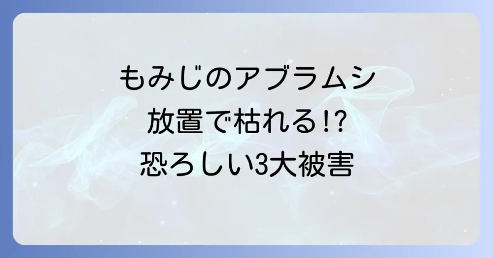 もみじのアブラムシ、放置は危険!起こりうる3つの被害