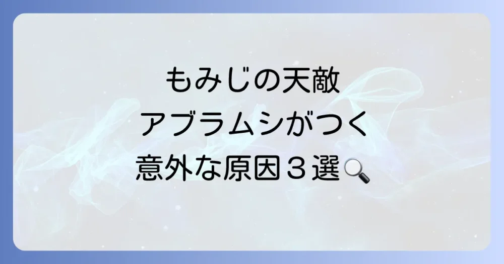 なぜ発生する?もみじにアブラムシがつく3つの原因