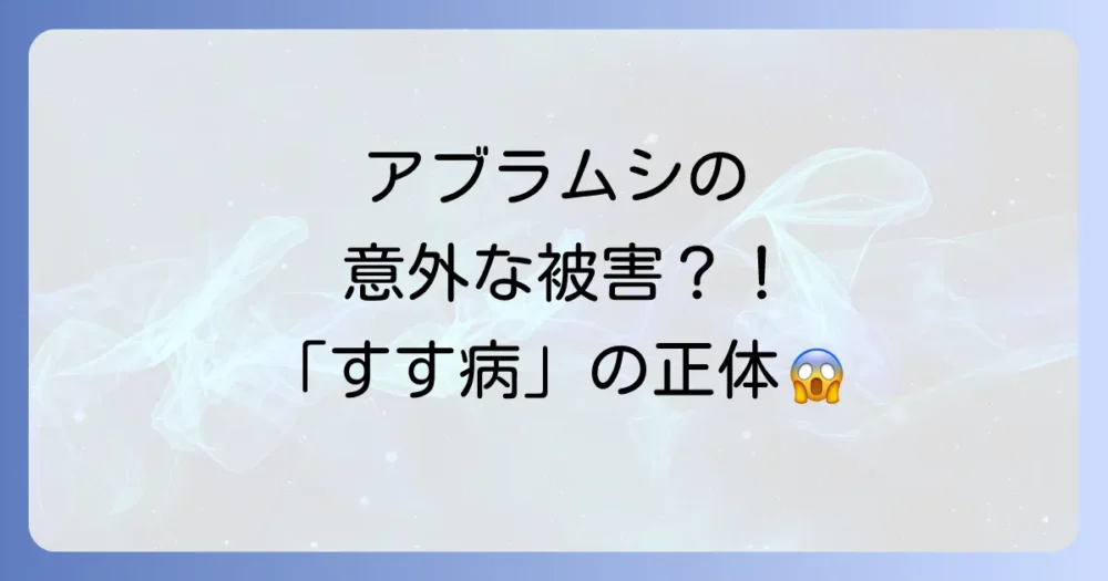 アブラムシと併発しやすい「すす病」とは?