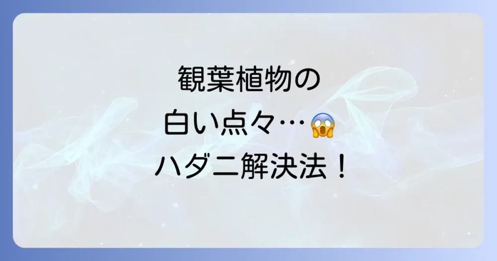 【室内向け】ハダニの駆除方法を完全解説！安全な対策から再発防止策まで