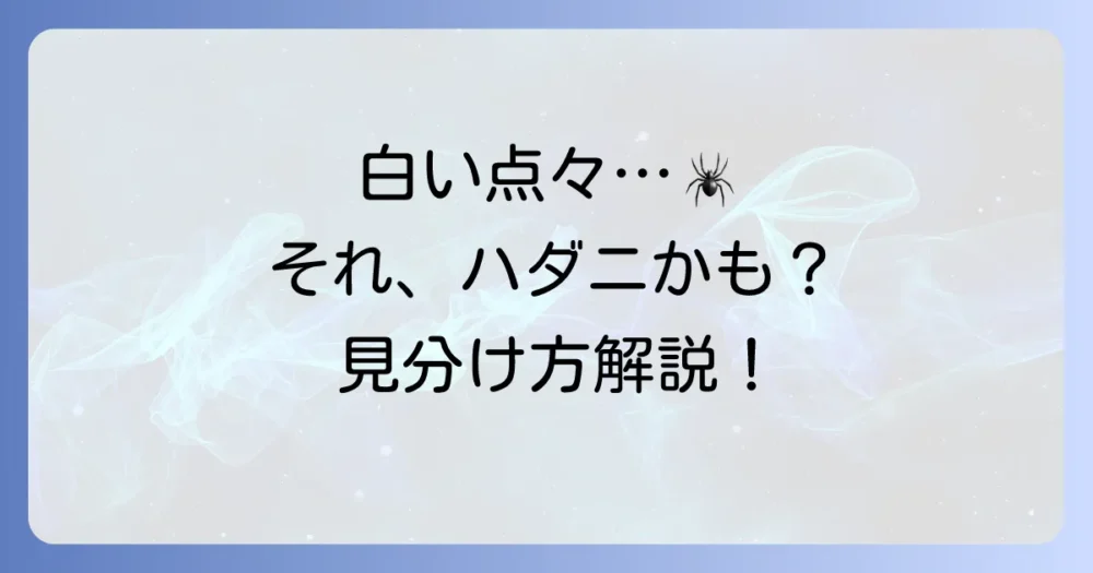 まずはチェック!これってハダニ?被害のサインと見分け方