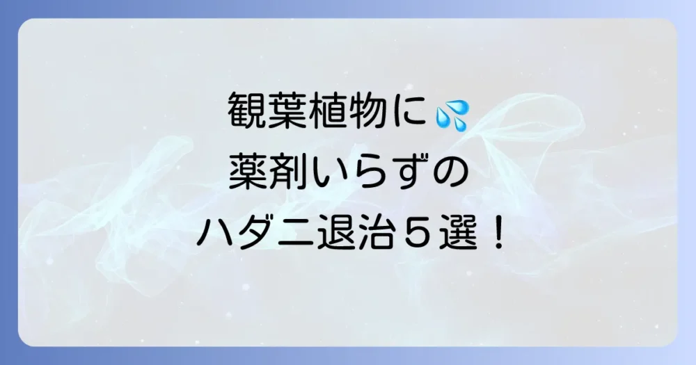 【室内で安心】薬剤を使わない!ハダニの安全な駆除方法5選