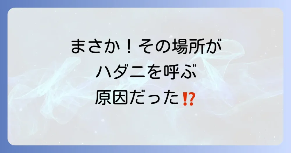 なぜ発生する?室内のハダニの発生原因