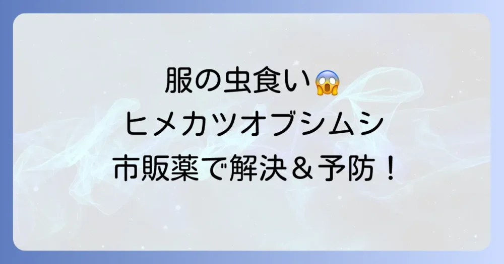 【完全版】ヒメカツオブシムシの駆除は市販薬で！おすすめ殺虫剤と二度と出さない予防策