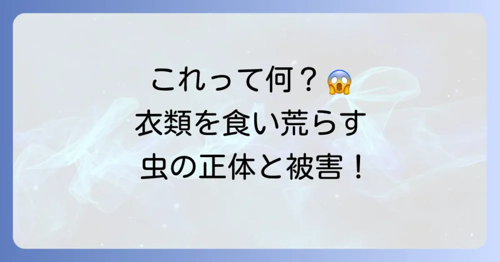 その虫、本当にヒメカツオブシムシ?生態と被害を知ろう