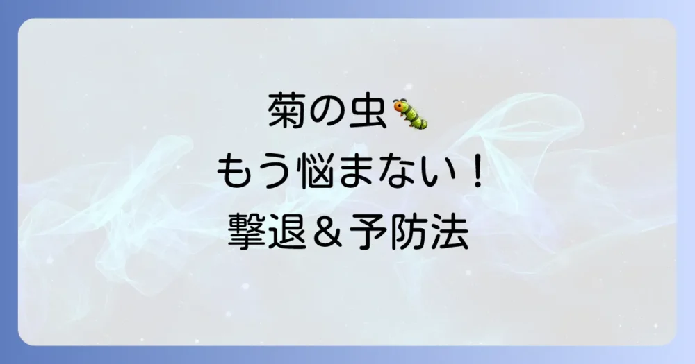 菊に付く虫を完全撃退！【種類別】駆除と予防策をプロが徹底解説