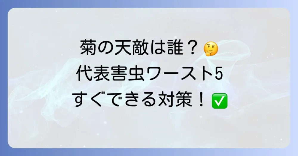 まず確認!菊を襲う代表的な害虫ワースト5とその対策