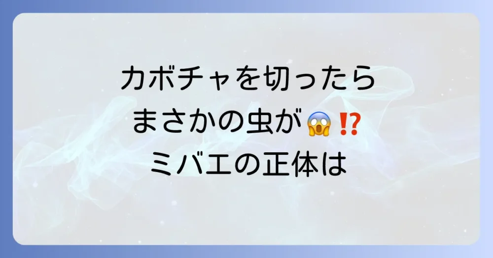 カボチャを襲う厄介な害虫「カボチャミバエ」とは?