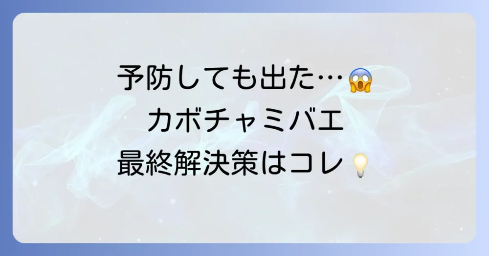 それでも発生してしまったら?カボチャミバエの駆除方法